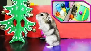 New Year's maze for hamster jack