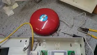 Mirtone 10