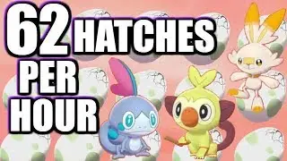 Egg SPEED Breeding & Hatching guide in Pokemon Sword and Shield - 62 hatches per hour