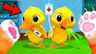 The Ducklings Is Sick - I Am Cat VR
