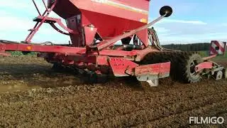 Siewy 2019 /horsch /fendt 930 vario