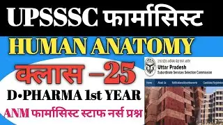 #upssscpharmacist UPSSSC PHARMACIST मुख्य परीक्षा क्लास 25 human anatomy questions #pharmacist 