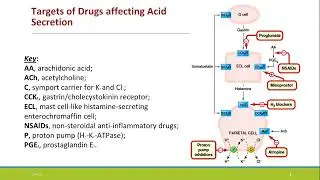 Drugs to treat Acid Peptic Disease