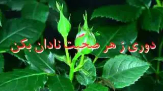 Walishah Deklama Naseeyat Naama Sher az Homayounshah Alimi