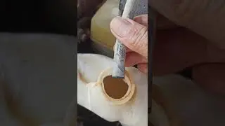 TOYOTA CAMRY how to fix  radiator cap leaking problem