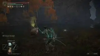ELDEN RING infinite falling Torrent glitch