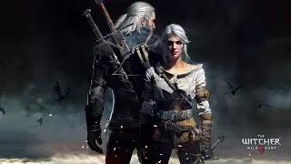 THE WITCHER 3 - PC - Putting a Witcher down like a dog!!