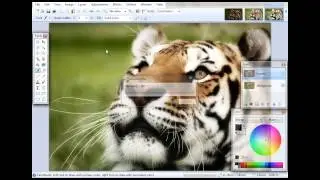 Paint.NET Tutorial - HDR Effect Tutorial