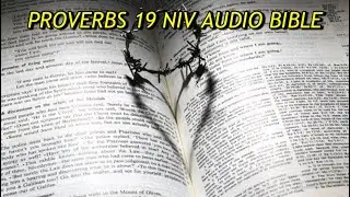 PROVERBS&nbsp;19 NIV AUDIO BIBLE(with text)