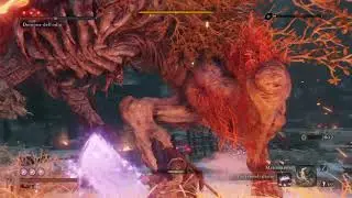 Demon of Hatred (Reflections of Strenght) / (Bell Demon - No Kuro's Charm) / NO DAMAGE