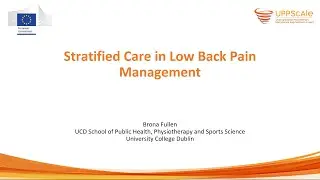 Stratified Care in Low Back Pain Management