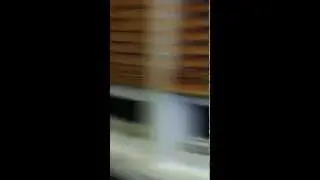 IMG 02461