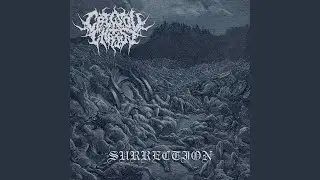 Surrection