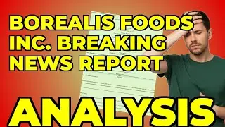 My Insight on Borealis Foods' Nasdaq Compliance & Audit Shift