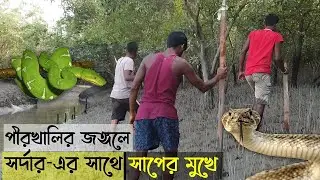 বিষধর সাপের মুখ থেকে ফিরলামsundarban jungle adventure in dangerous area.snake attack#sundarbankarcha