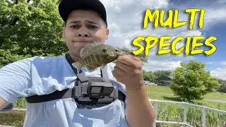 Dock FISHING with the FAMILY! Fishing Journey Ep.9