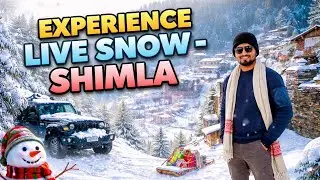 Kufri Snow Experience❄️Just 14km from Shimla travel #shimla #KufriSnow#SnowVlog#Snowfall#HillStation