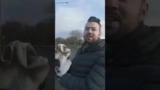 HITCH HIKING IN SCOTLAND #shorts #funny