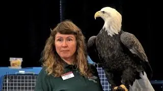 Learning About Birds of Prey, Iowa