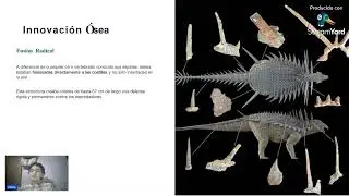 Paleobiolog&iacute;a y Evoluci&oacute;n ll Spicomellus afer por Irham Felix