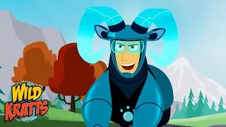 Activate Bighorn Sheep Powers | Race to Goat Mountain | Season 7 | Wild Kratts