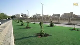 كثفت أمانة_منطقة_القصيم أعمال التشجير  في الطرق الرئيسة بمدينة بريدة