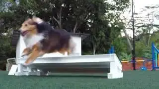 Gopro Test with Cleanrun Agility Club (Singapore)