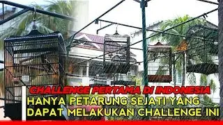 Hanya Yang Fighter Berani Latihan di RAMOS BIRD CLUB