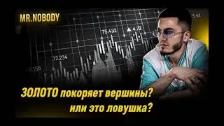 ОБЗОР РЫНКА на 20-27 января 2026