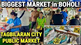 Bohol Philippines BIGGEST FOOD MARKET | Tagbilaran City Public Market & Downtown Walk 2026
