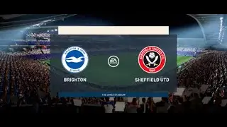 ACSF: Brighton vs Sheffield