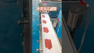 #Meat processing equipment manufacturers