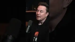 Elon Musk on Israel-Palestine
