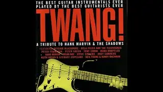 Wonderful Land by The VHBL cover Tony Iommi