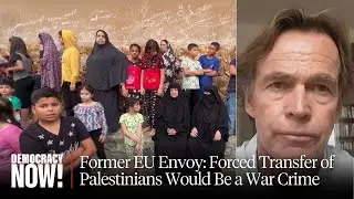 Former EU Envoy: Israel&rsquo;s Forced Transfer of Palestinians in Gaza Would Be a War Crime