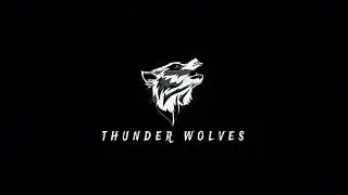 TW LOGO AND ENTRY VIDEO