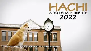 Sam Feldt - Pick me up (Eddie Fiasco&acute;s Synthmix) - Hatchi Tribute Video 2022