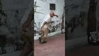Rare and Ancient Tai Chi Monkeyfist Sequence