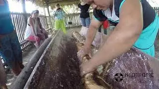 How to make CASABE bread from YUCA root