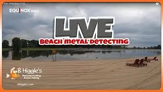 Beach Metal Detecting | RINGS & MORE! DRY SAND DIGS | Minelab Equinox 800 Metal Detector