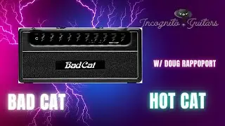 BAD CAT HOT CAT 45W полностью ламповый гитарный усилитель с Дугом Раппопортом