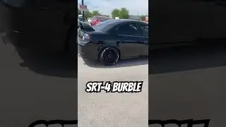 SRT4 Burble #asmr #srt4 #srt #dodge #neon #carshow #rev #cars #black #built #bts #explore #public