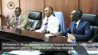 PS Diaspora appeared before the Departmental Committee on Defence, Intelligence & Foreign Relations
