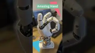 Amazing hand