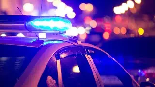 Off-duty Temple animal control officer arrested for assault in family violence case