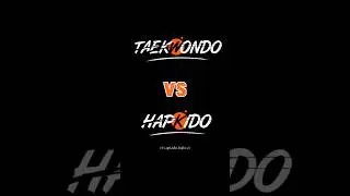 Taekwondo 🆚 Hapkido Fight  |#taekwondo #hapkido #shorts
