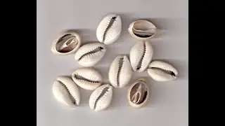 African methods of mental/spiritual healing with cowrie shells
