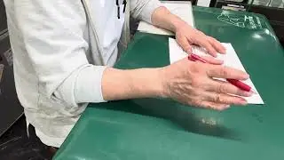 ⑸フェレットのおかかちゃんの血液検査所見