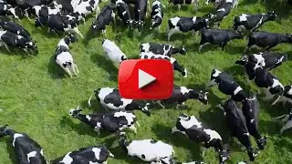 FTGU#1359 Texas Association of Dairymen