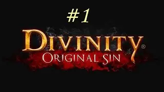 Divinity Original Sin - Shoninya & DarkHunterRPGx #1 (Deutsch & HD)